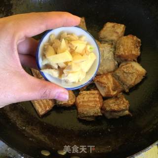 Braised Octopus recipe
