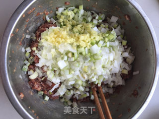 Beef Scallion Wontons recipe