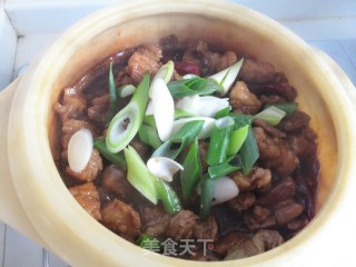 Braised Lamb with Scallions recipe