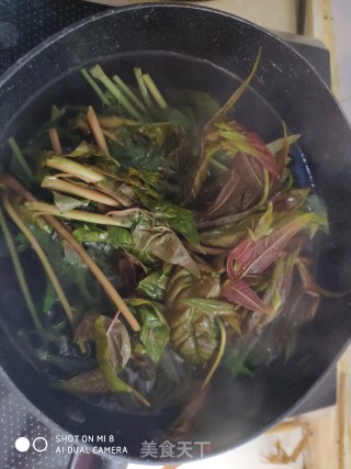 Scrambled Eggs with Wild Vegetables Toon recipe