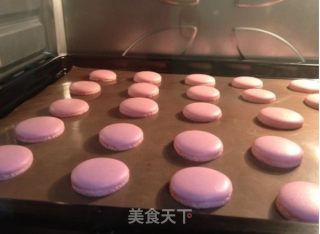 Super Detailed Macarons Baking Sharing recipe