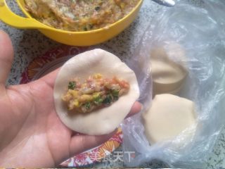 #trust之美#cabbage and Pork Pot Stickers recipe