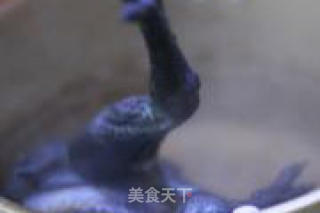 Codonopsis and Red Date Black Chicken Soup recipe