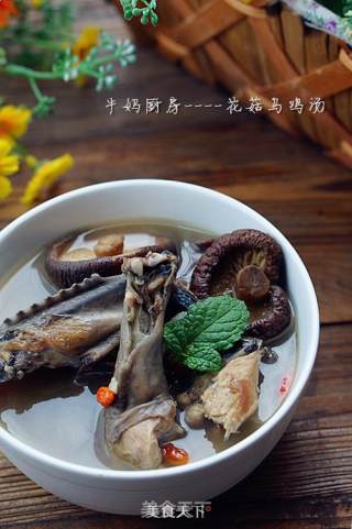 Mushroom Black Chicken Soup recipe