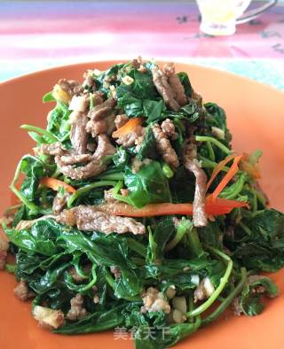 Stir-fried Meat with Wild Amaranth recipe