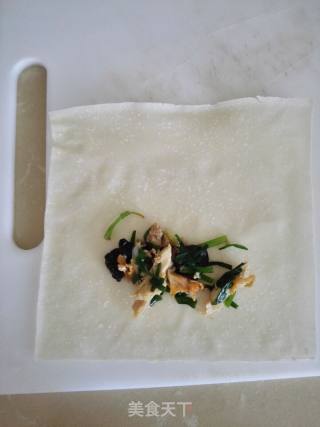 Unique Spring Rolls recipe