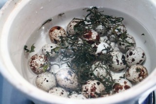 Tea Quail Eggs recipe