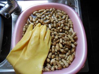 Electric Pressure Cooker Peanuts recipe