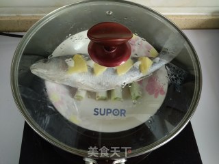 [guangdong] Steamed Sea Bass recipe