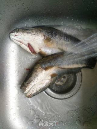 Spicy Black Fish recipe