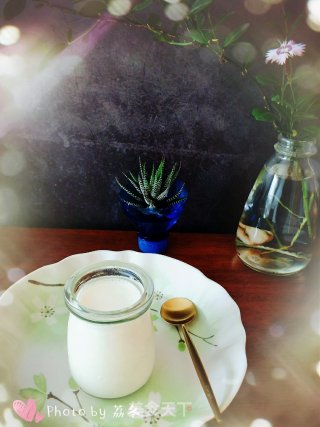 Homemade Yogurt recipe
