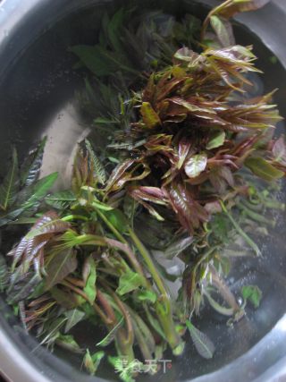 Keep The Fragrance of Spring-toon Preservation Method recipe