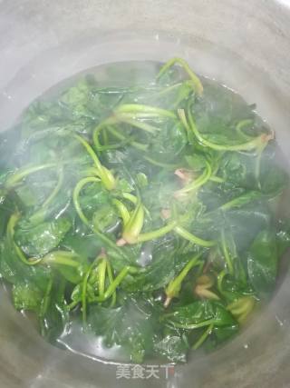 Spicy Spinach Mixed with Vermicelli recipe