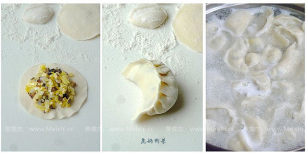 Vegetarian Dumplings recipe