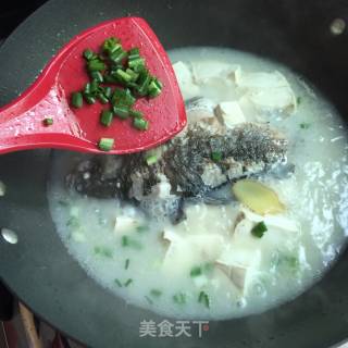 Tofu Crucian Carp Soup recipe