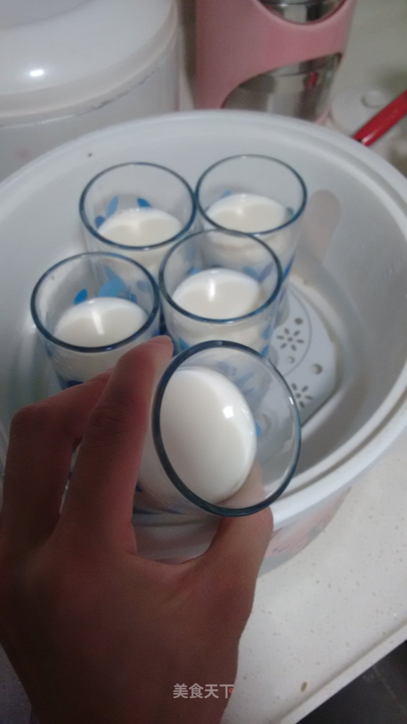 Diy Plain Yogurt recipe