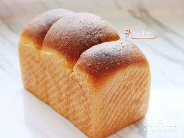 100% Whole Wheat Bread recipe
