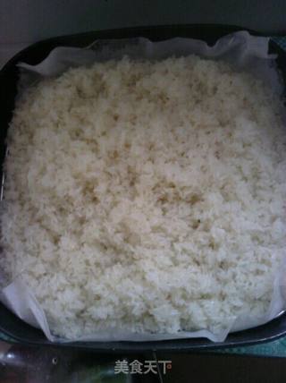 Fermented Rice recipe