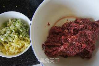 Ostrich Meat Dumplings Stuffed with Dandelions recipe