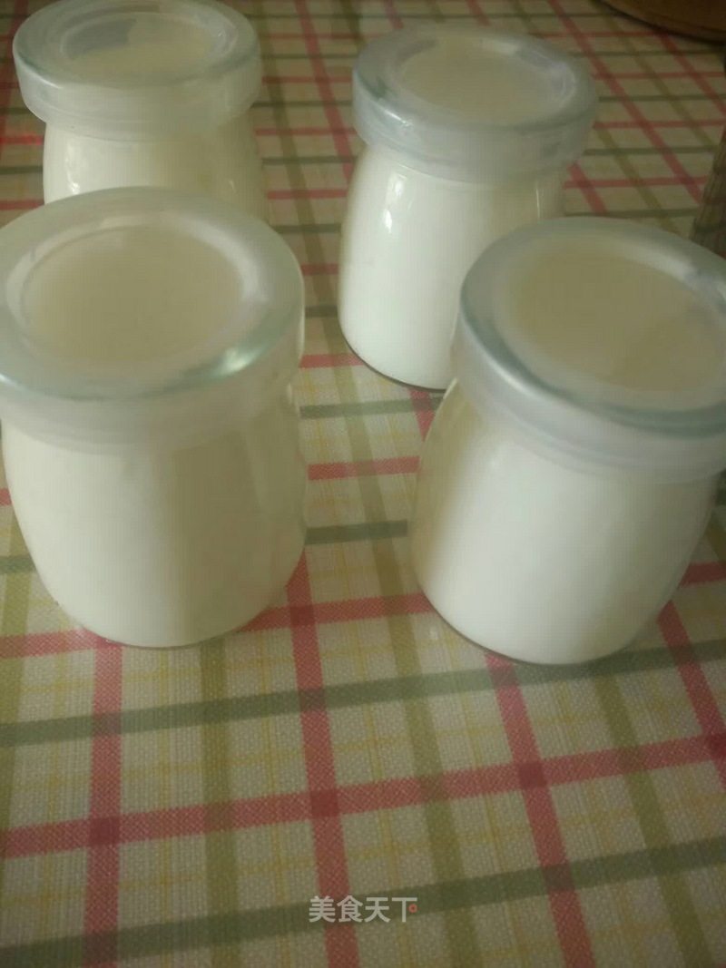 How to Make Homemade Yogurt recipe