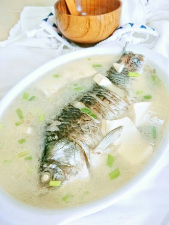 Tofu Crucian Carp Soup recipe