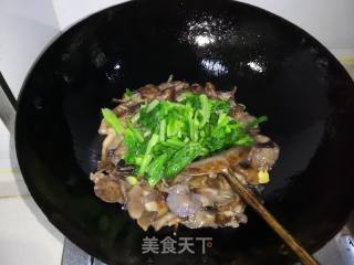 Hazel Mushroom and Chinese Cabbage in Oyster Sauce recipe