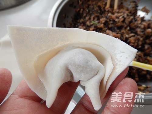 Dried Bamboo Shoots, Fungus and Fresh Meat Wontons recipe