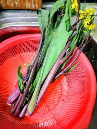 #快手懒人饭#fried Red Vegetable Moss recipe