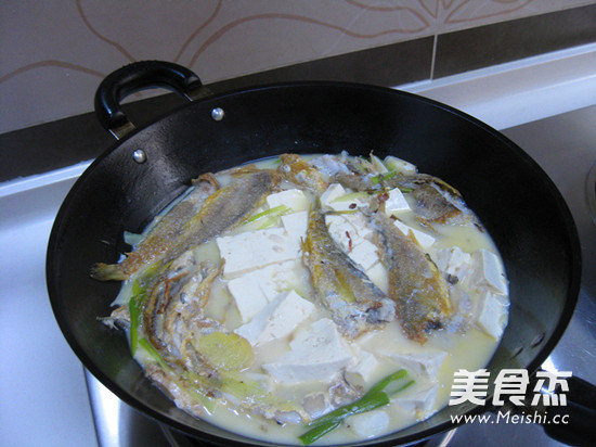 Small Yellow Croaker Tofu Soup recipe