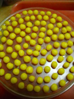 Golden Lemon Crisp recipe