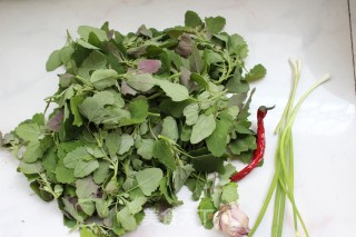 Wild Vegetables Have Good Nutrition-mixed with Gray Ash recipe