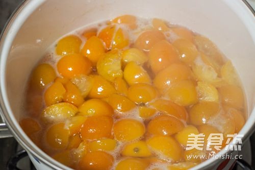 Honey Kumquat--a Little Expert on Cough and Asthma recipe