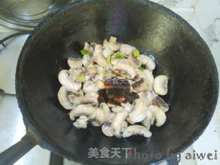 Braised Tricholoma recipe