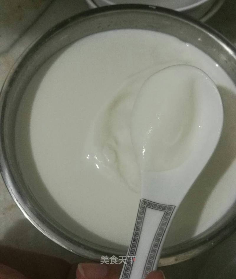 Homemade Yogurt recipe