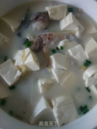 Crucian Tofu Soup recipe