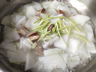 Yellow Clam and Winter Melon Soup recipe