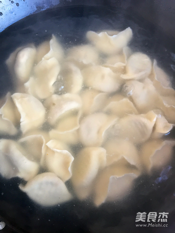 Pork and Cabbage Dumplings recipe