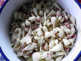 Sweet and Sour Garlic recipe