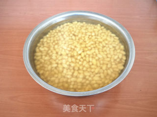 Homemade Natto recipe