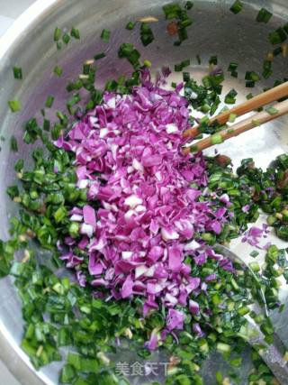 Pork. Leek. Purple Cabbage Dumplings recipe