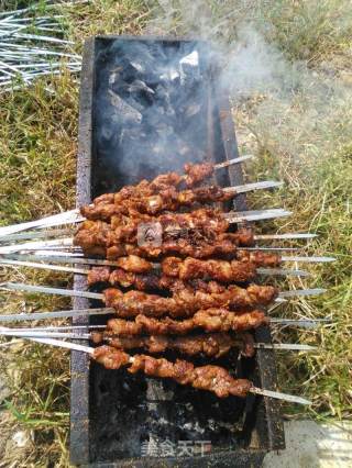 Charcoal Grilled Lamb Skewers recipe