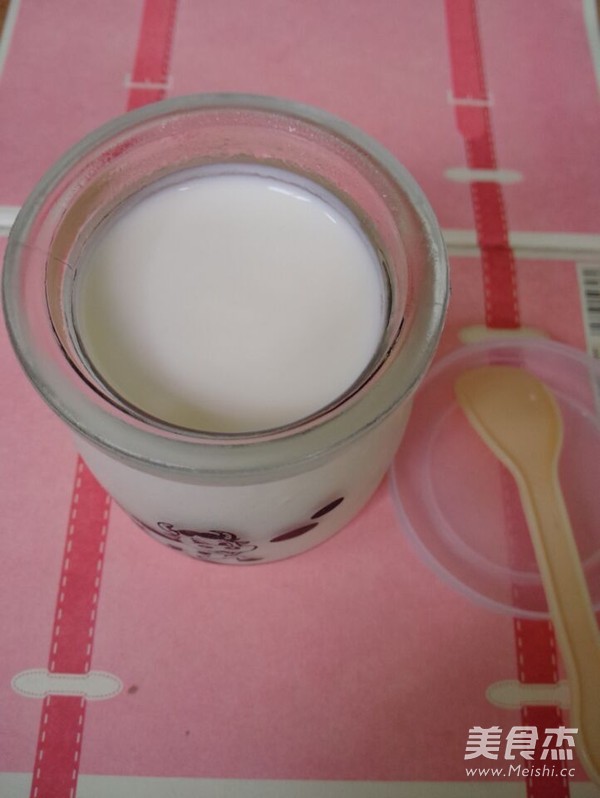 Homemade Condensed Milk Yogurt recipe