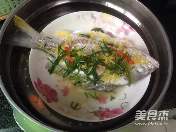 Steamed Fish (microwave) recipe