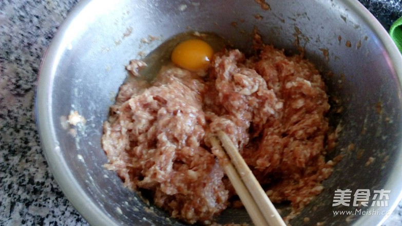 Steamed Dumplings with Pork and Radish Noodles recipe