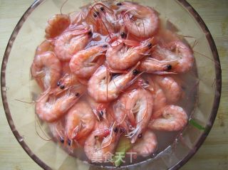 Brine Shrimp recipe