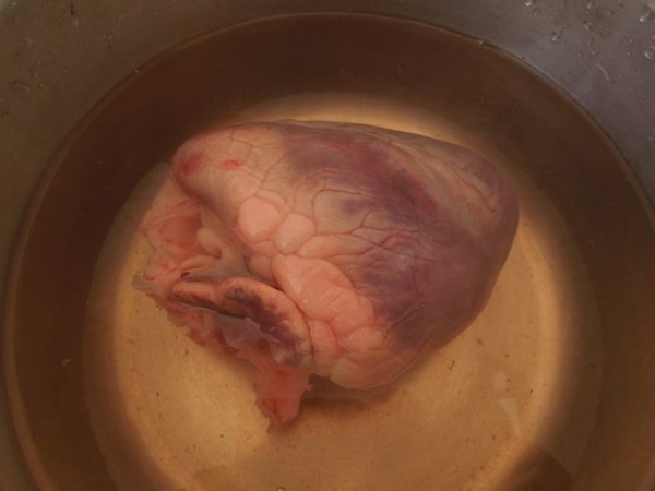 Ophiopogon and Gorgon Stewed Pig Heart Soup recipe