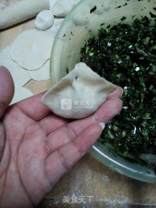 Shepherd's Purse Dumplings recipe