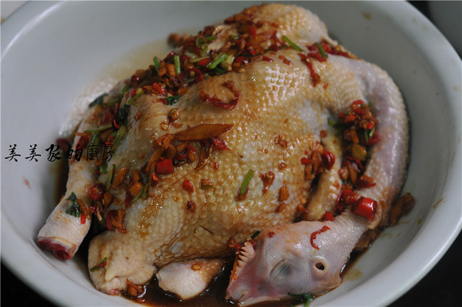 Microwave Steamed Chicken recipe