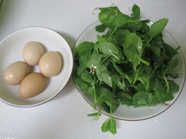 Fried Eggs with Pea Sprouts recipe