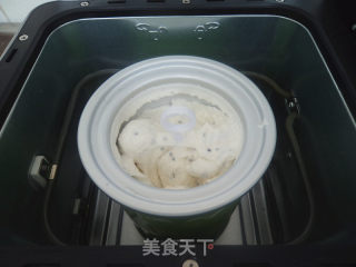 Dragon Fruit Ice Cream recipe